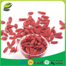 Bache di goji fruit seed